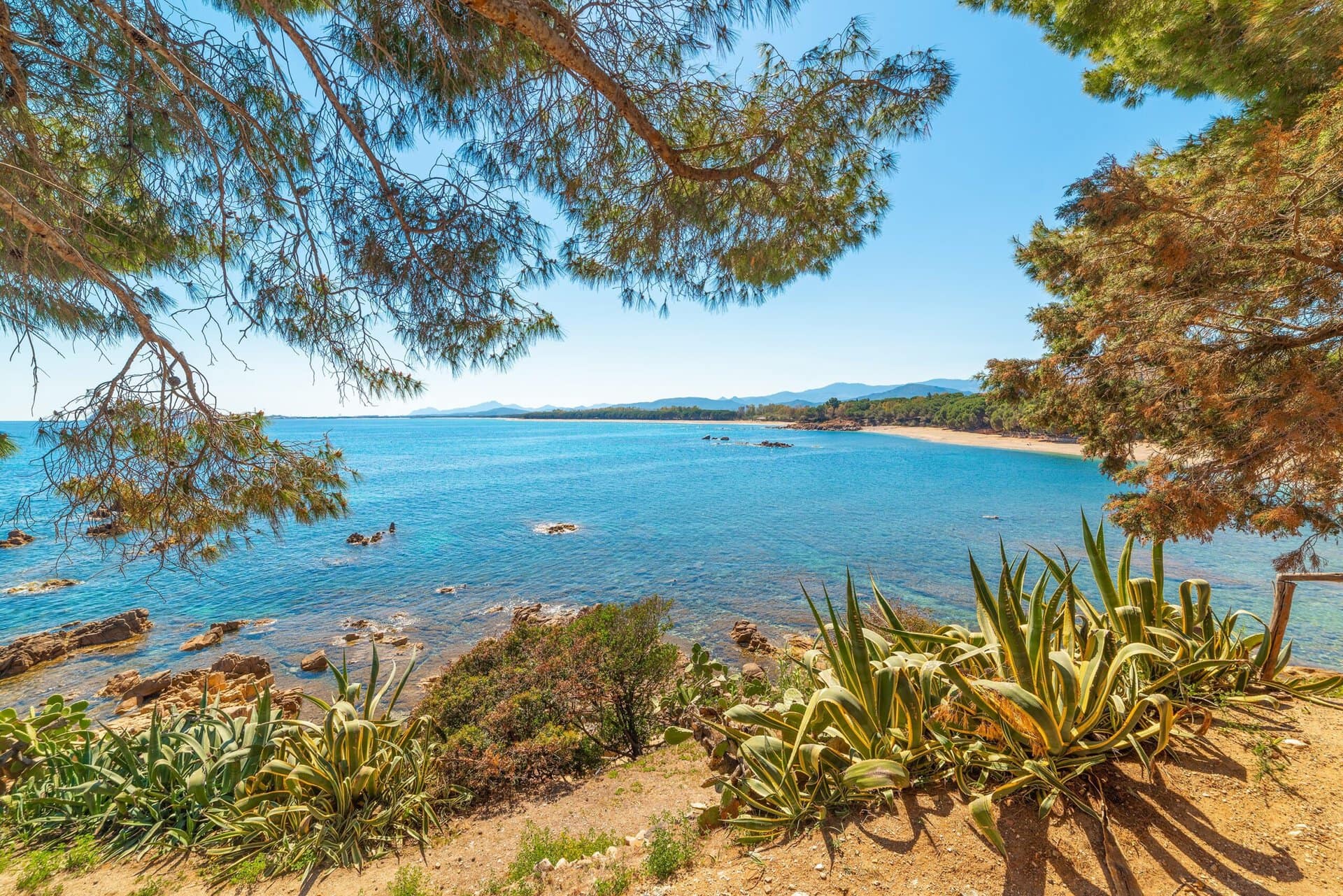 santa-maria-navarrese-beach-gay-reise-sardinien-wandern-abenteuer-natur-landschaften-mediteran-mittelmeer-miniaturkontinent-urlaub-lgbtqia-strand-pinien navarrese-beach-gay-reise-sardinien-wandern-abenteuer-natur-landschaften-mediteran-mittelmeer-miniaturkontinent-urlaub-lgbtqia-strand-pinien-santa-maria