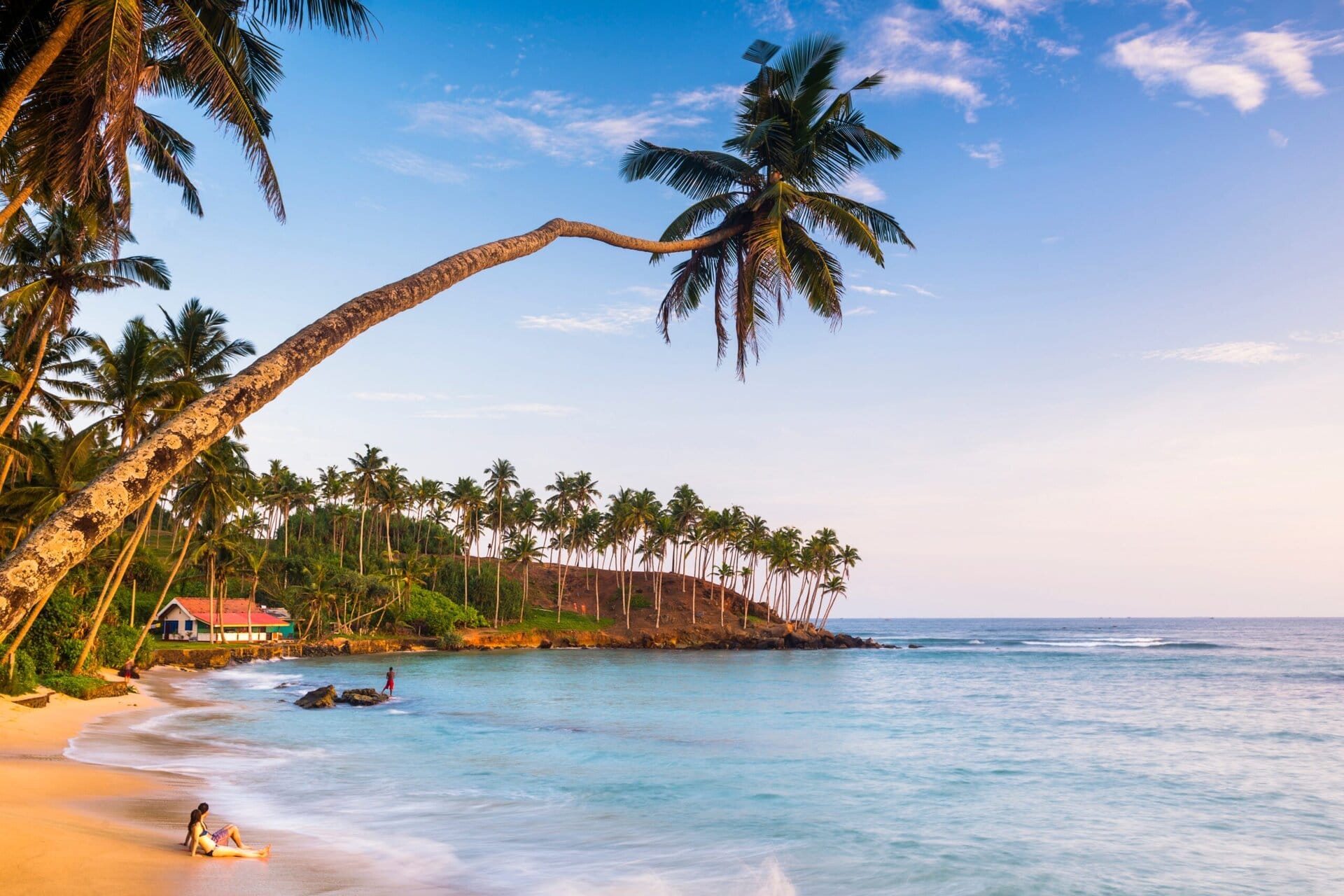 gay-reise-sri-lanka-asien-maenner-urlaub-gruppenreise-mirissa-beach-palm-tree-south-coast