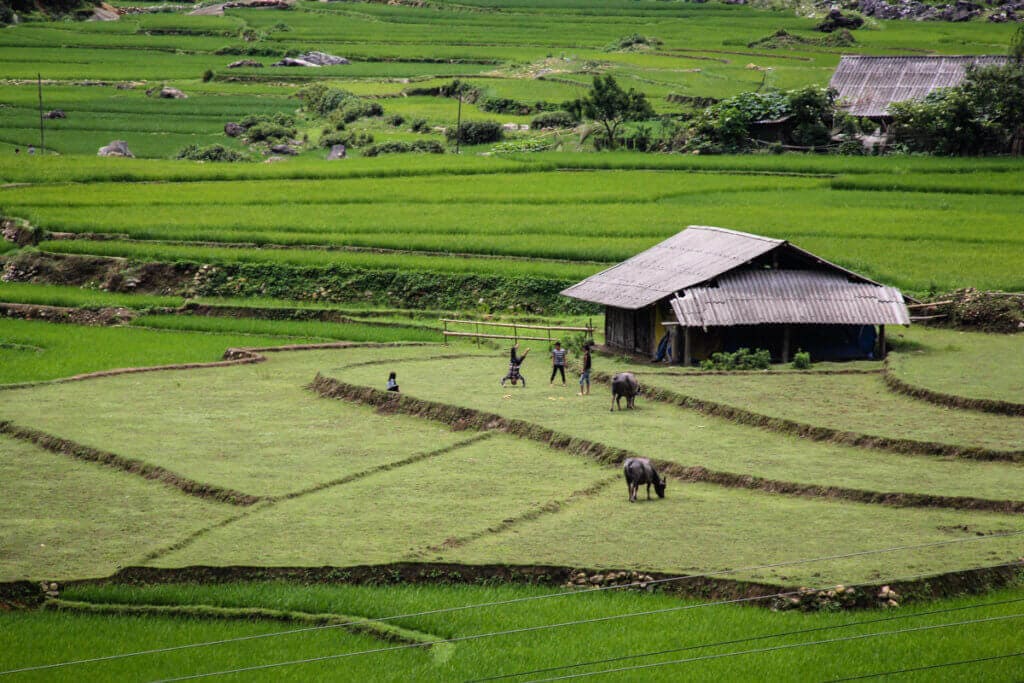 nordvietnam-rundreise-individualreise-reiseberatung-reiseorga-organisation-schwul-gay-lesbisch-reise