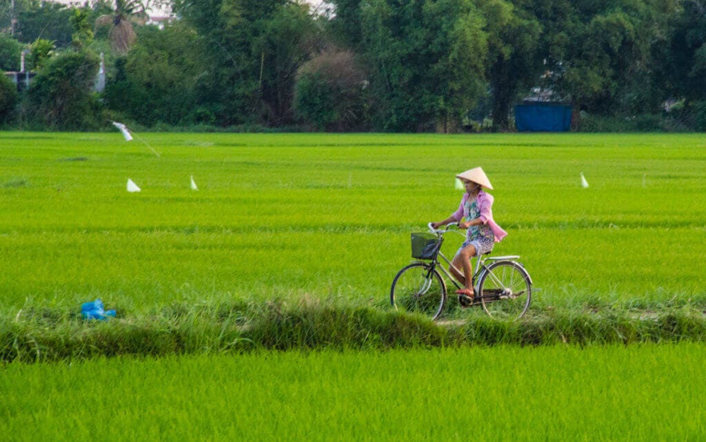 vietnam-homosexuelle-homo-individuell-travel-asien-experte-gay-reise