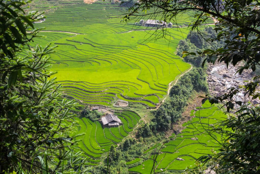 holiday-vietnam-gay-schwul-individuell-lesbisch-organisiert-reise-reisterrassen