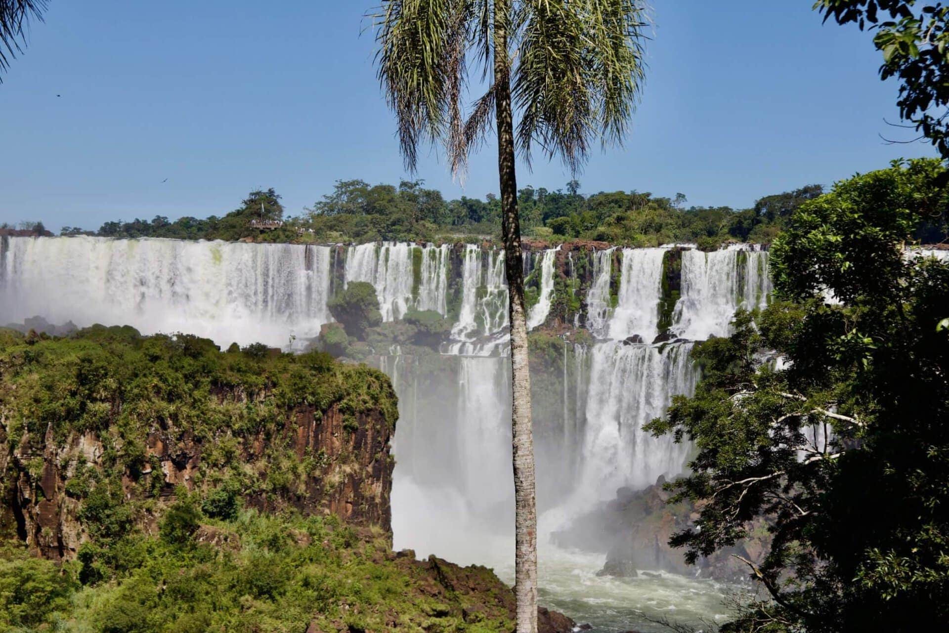 peru-brasilien-amazonas-iguazu-palme