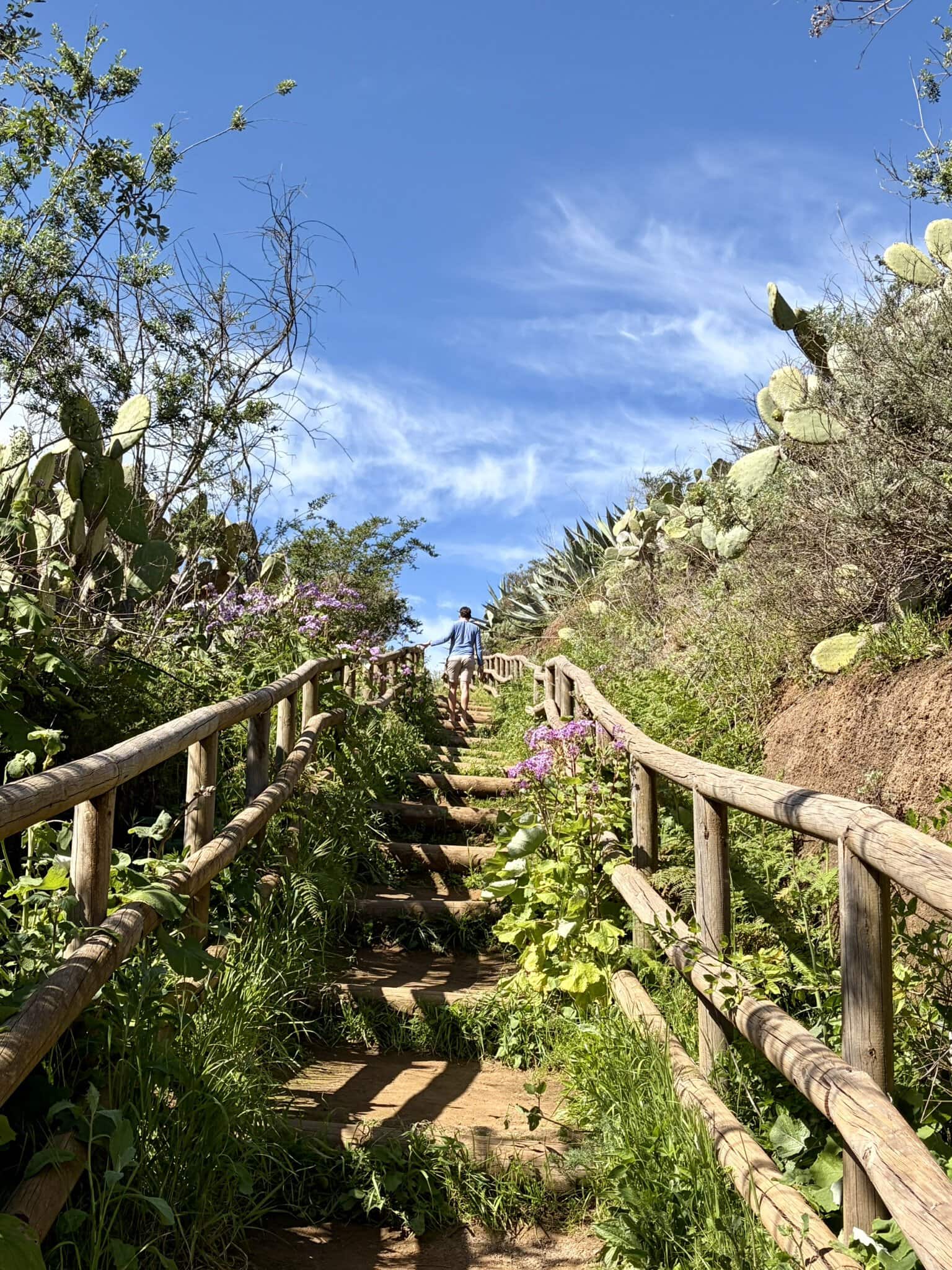 treppen-gay-reiseblog-gran-canaria-wanderreise-natur-sonne