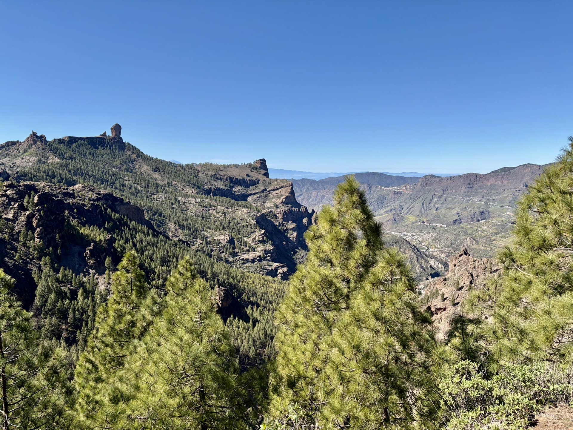 pinienwald-wanderreise-natur-sonne-gay-reiseblog-gran-canaria