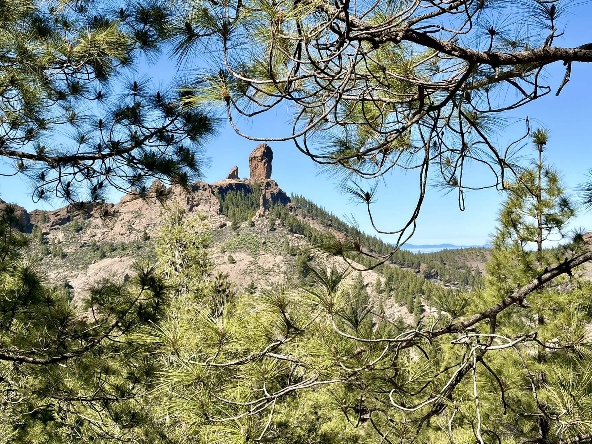 nublo-roque-natur-sonne-gay-reiseblog-gran-canaria-wanderreise