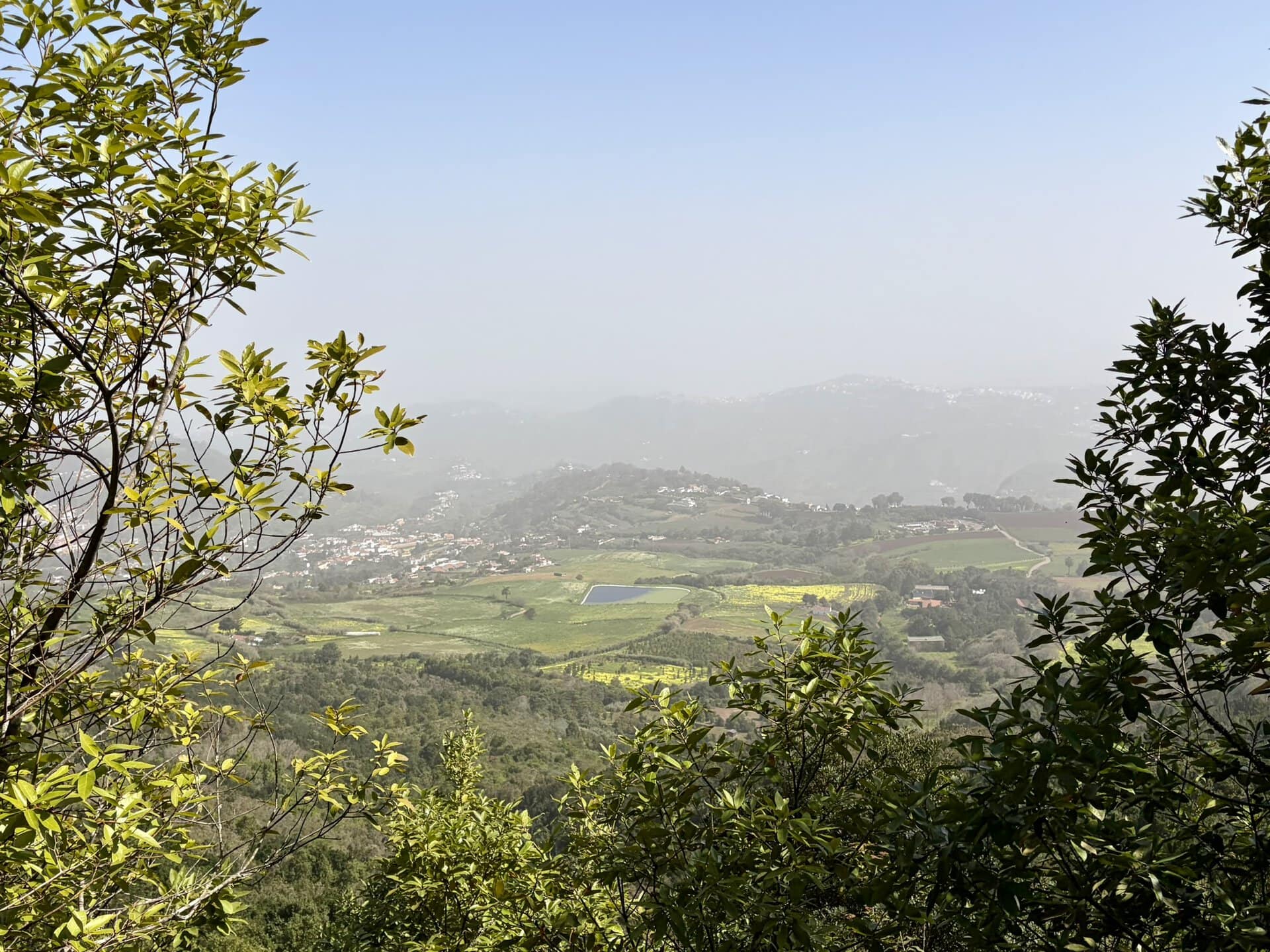 gay-reiseblog-grüne-wiesen-natur-sonne-gran-canaria-wanderreise-teror-barrio-del-pino