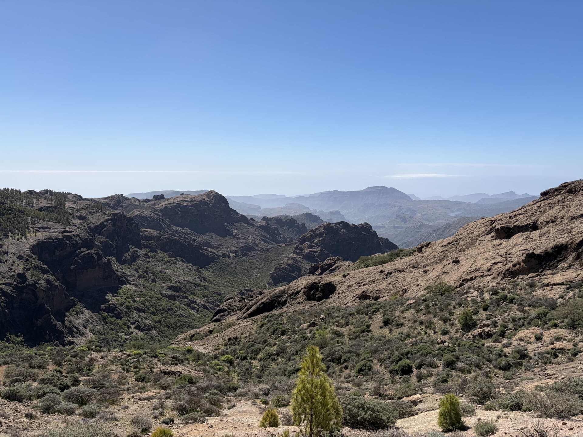 gay-reiseblog-steppenlandschaft-natur-sonne-gran-canaria-wanderreise-berge