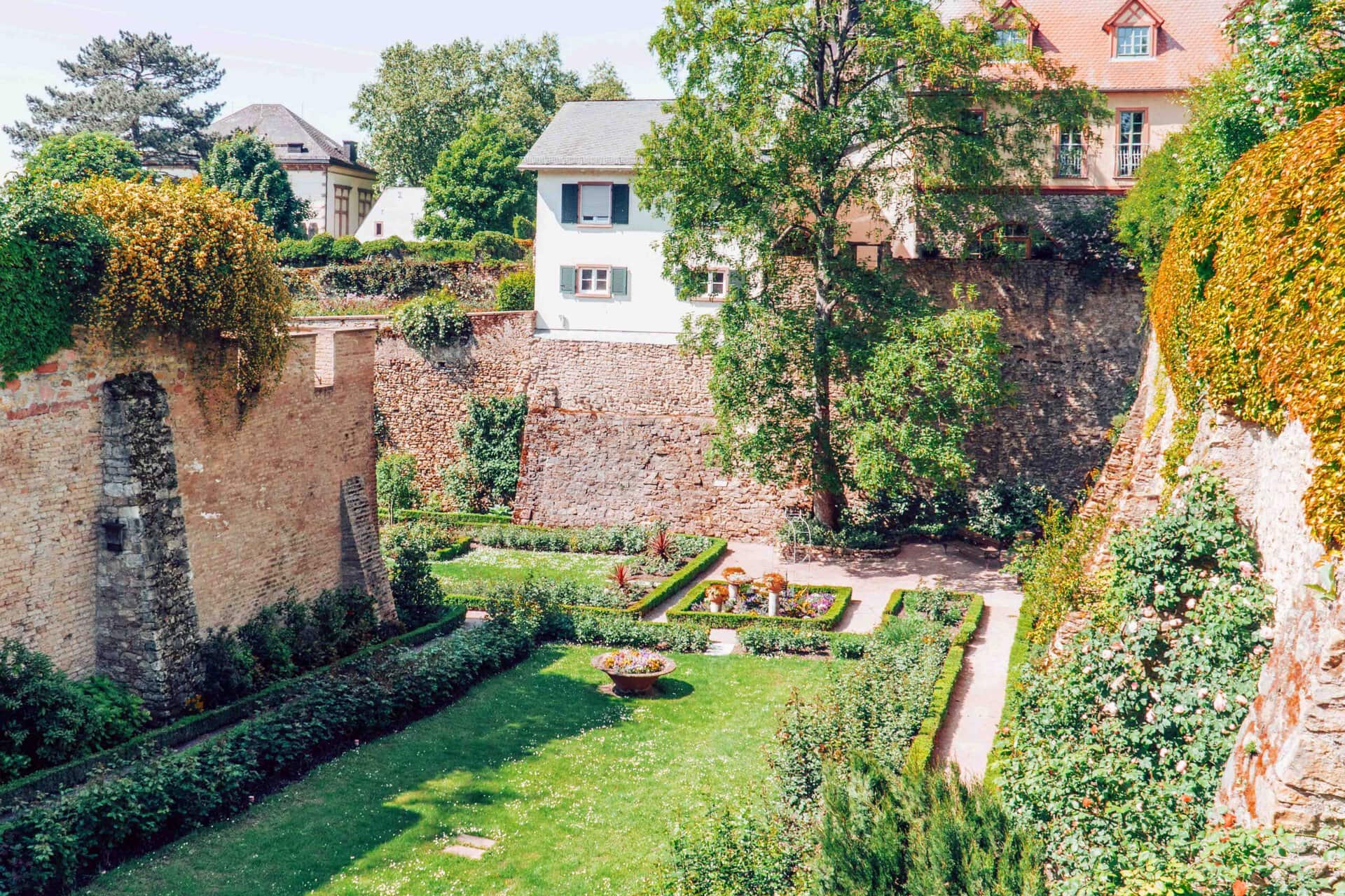 Rosenpark von Eltville am Rhein