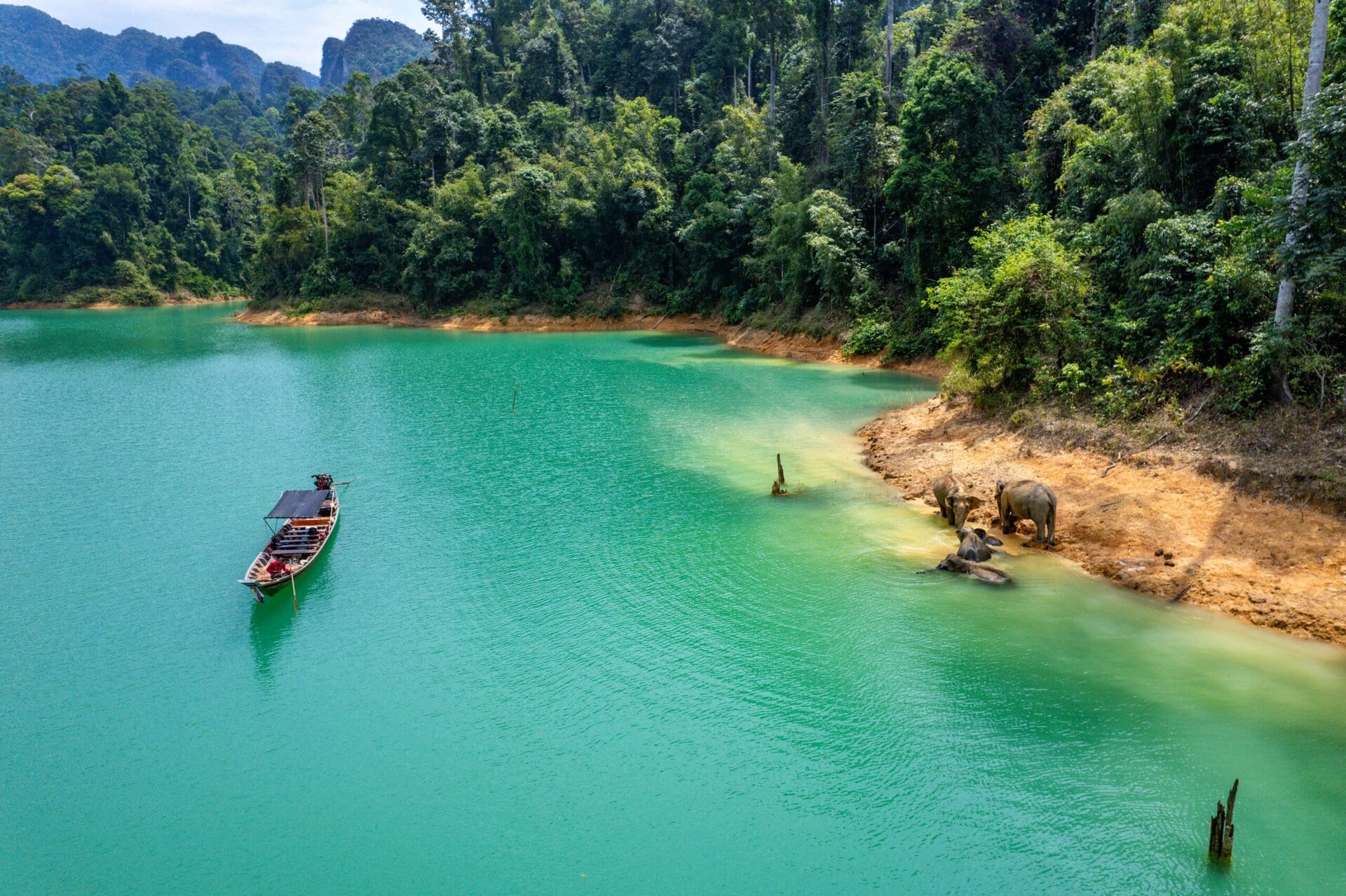 khao-sok-luxusreise-gay-urlaub-thailand-private-rundreise-wild-elephants