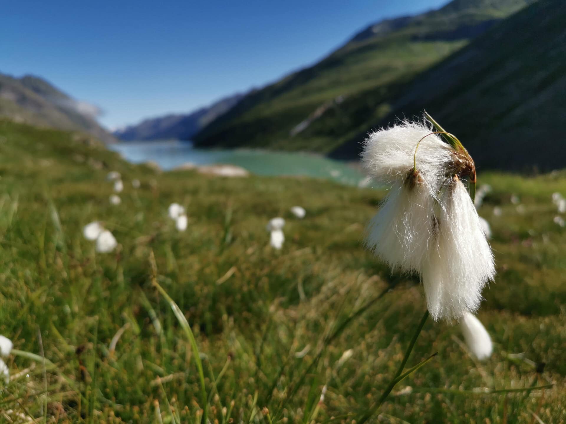 Natur- und Berglandschaft im Wallis