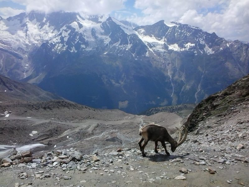 Saas-Almagell – Ausgangspunkt der Wanderreise im Wallis