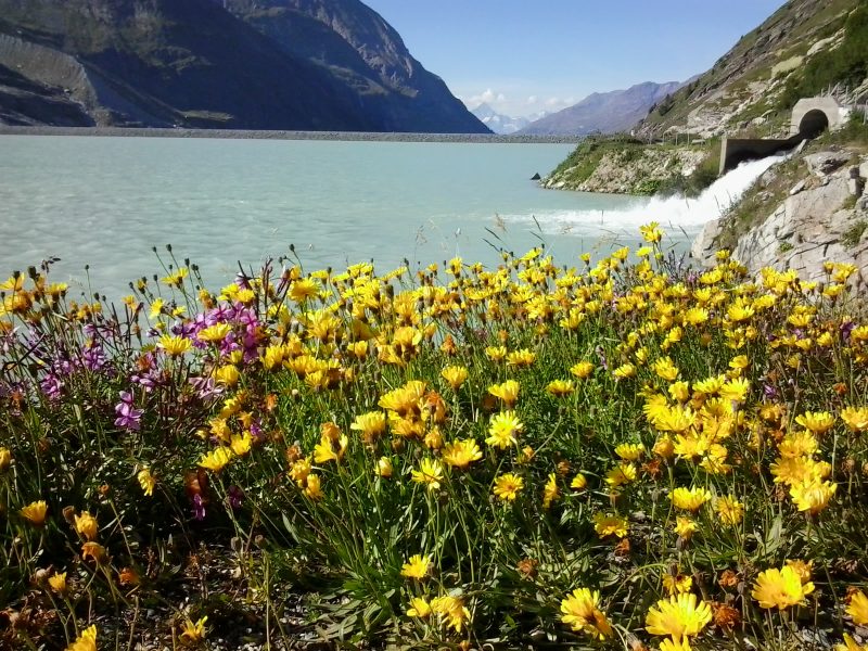 Wanderweg durch die Berglandschaft des Wallis